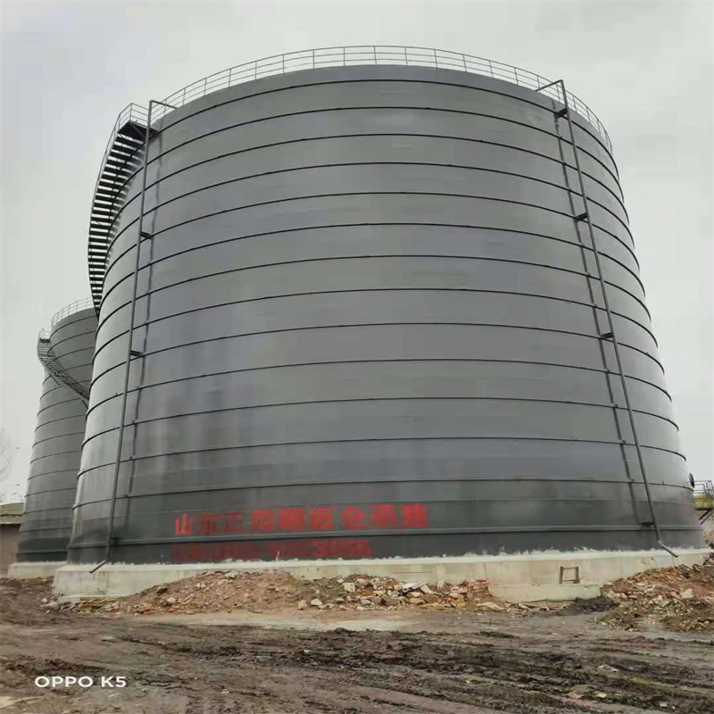 东英镇3万吨大型钢板库