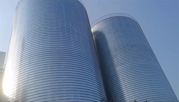 东英镇2座混凝土高架卷板仓